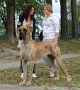 1-balda-fot-b-hajbos-3393_128x128