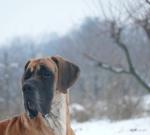 1-portrecikjpg-3548_150x0