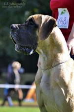 16-boke-gdphoto-3308_150x0