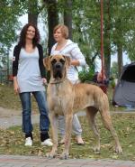 2-balda-fot-b-hajbos-3394_150x0