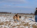 26-sadystyczna-azurajpg-3231_150x0