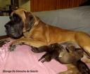 3-mloda-dumna-mama-5797_128x128