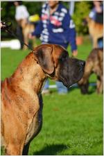 4-amarant-ddc-fotgdphotoprvpl-1652_150x0