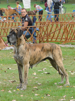 4-tosca-fot-b-hajbos-2834_150x0