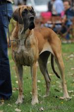 5-amber-fot-lenka-klobasova-do-dol-2973_150x0