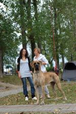 5-balda-fot-b-hajbosjpg-3074_150x0