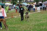 9-tosca-fot-b-hajbosjpg-3006_150x0