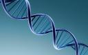 Dna-6434_128x128