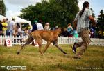 Dsc08406ajpg-5840_150x0