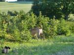 P1560173jpg-5877_150x0